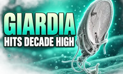 England Giardia cases hit decade high 6069