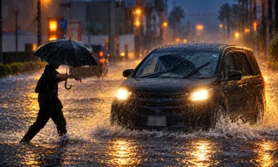 Typhoon Dujuan stops Haneda Narita and bullet trains